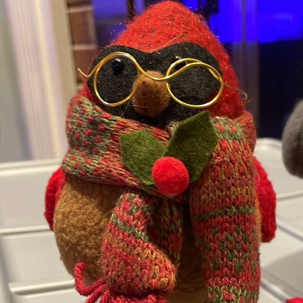 Target Halloween Carver Pumpkin Bird & Winter Bird - Picture 3 of 3